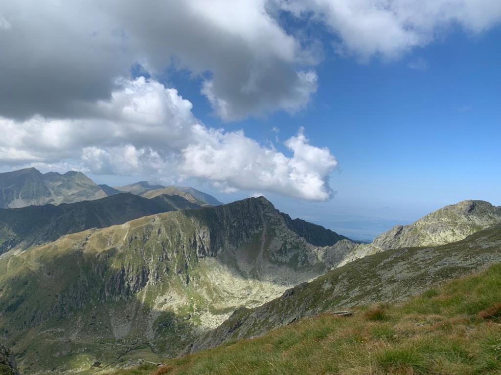 Cîrţişoara Casa Oaspeti Transfagarasan 아파트 외부 사진