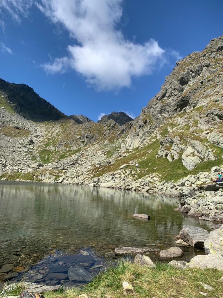 Cîrţişoara Casa Oaspeti Transfagarasan 아파트 외부 사진