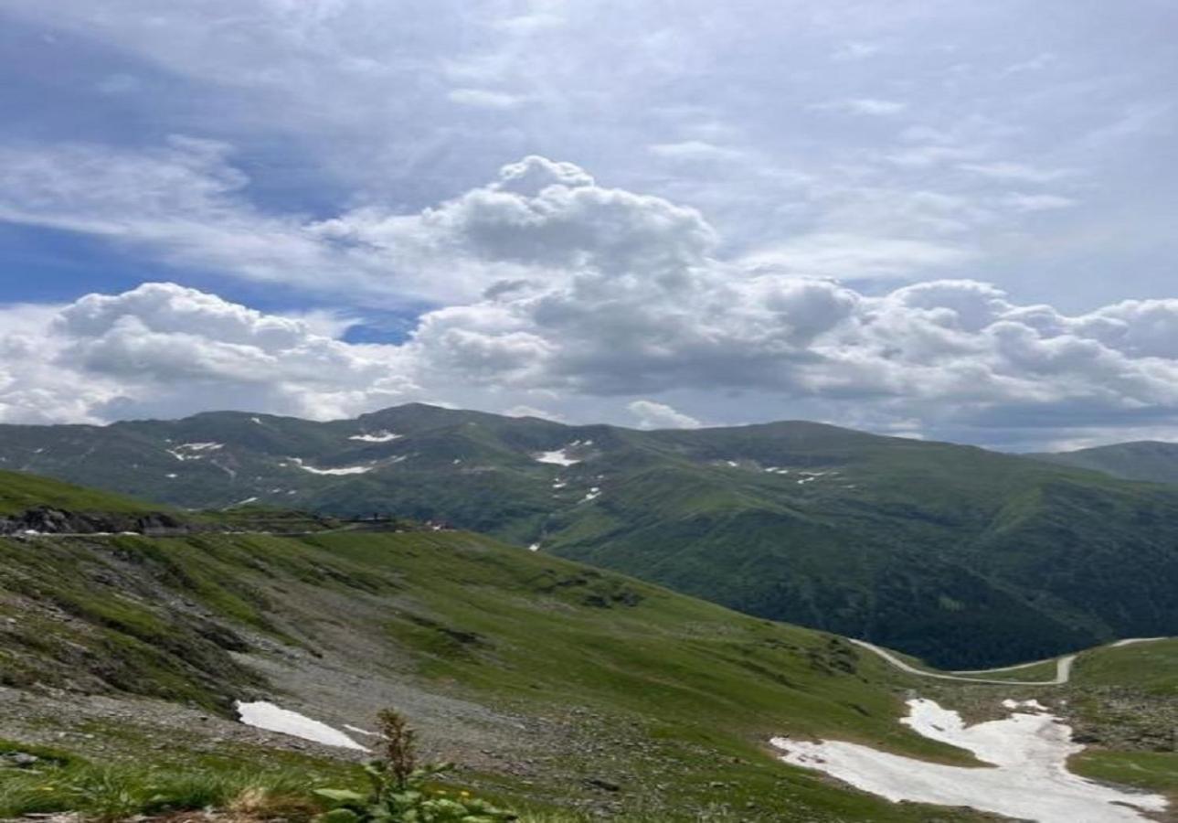 Cîrţişoara Casa Oaspeti Transfagarasan 아파트 외부 사진